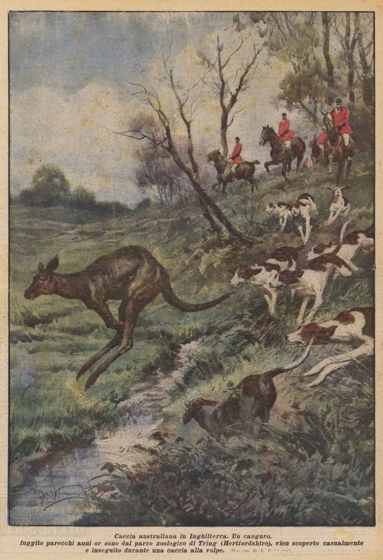 Australian Hunting in England by Achille Beltrame