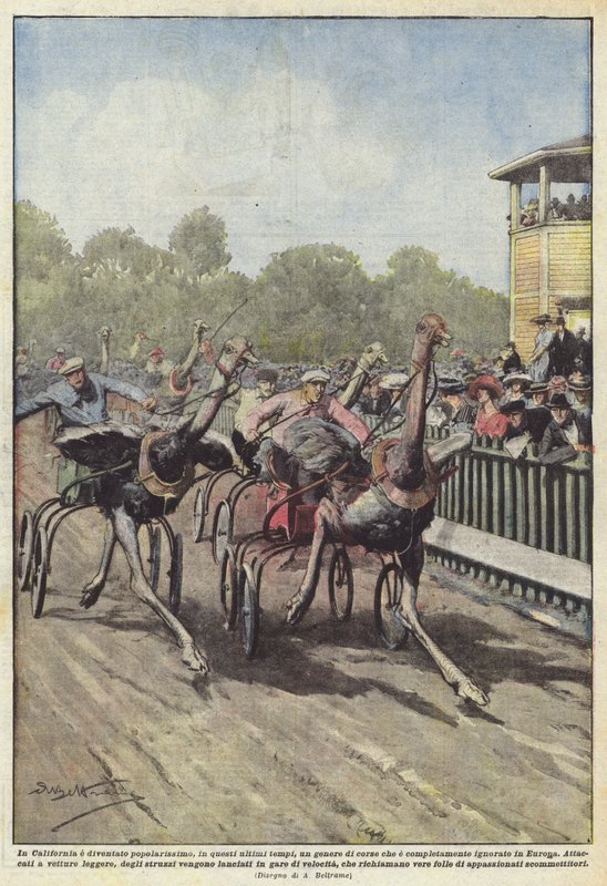 A Very Popular Type of Racing in California Recently by Achille Beltrame