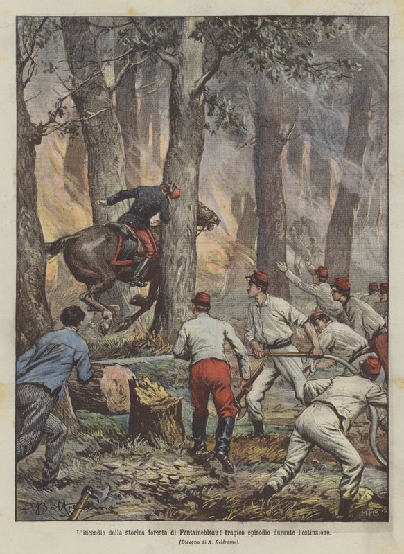 The Fire of the Historic Forest of Fontainebleau, Tragic Episode During the Extinguishing by Achille Beltrame