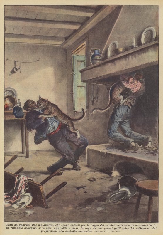 Guard Cats by Achille Beltrame