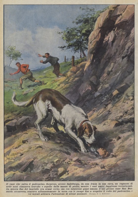 The Dog That Saves Its Little Master by Achille Beltrame