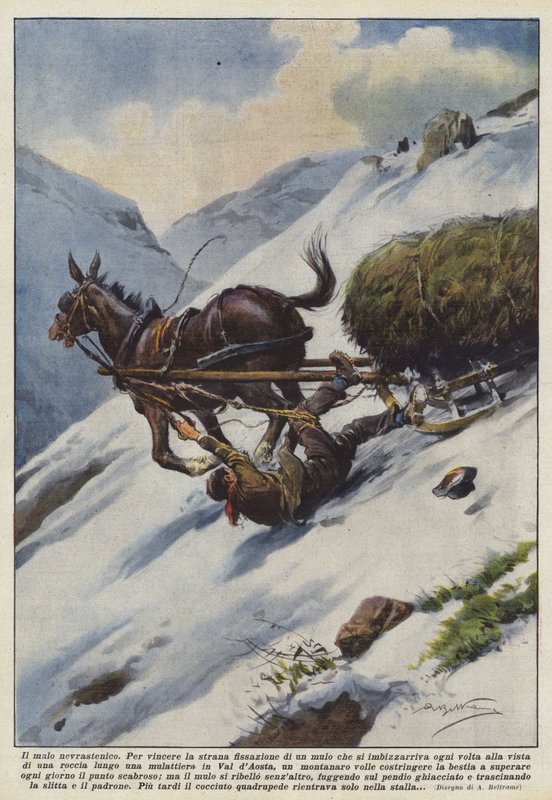 The Neurasthenic Mule by Achille Beltrame
