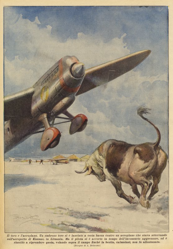 The Bull and the Airplane by Achille Beltrame