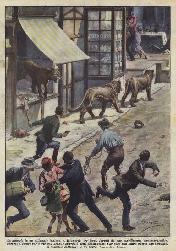 The Jungle in an English Village by Achille Beltrame