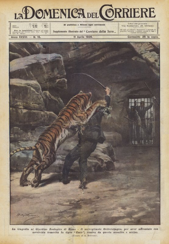 The Tragedy at the Rome Zoo by Achille Beltrame