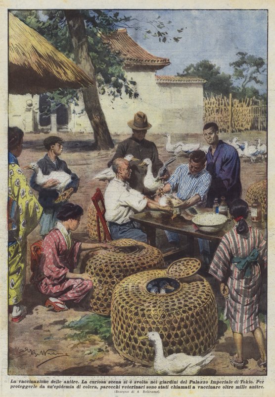 The vaccination of ducks by Achille Beltrame