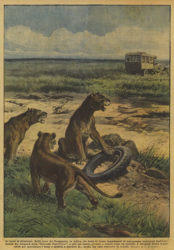 The beasts have fun by Achille Beltrame