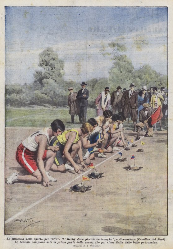 The curiosities of sport? for laughs by Achille Beltrame