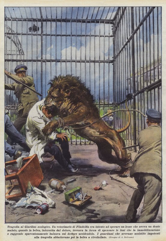 Tragedy at the Zoo by Achille Beltrame