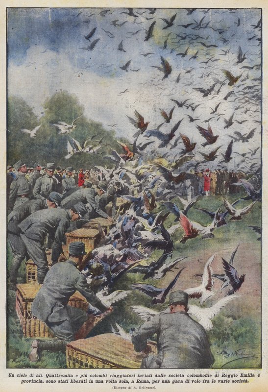 A Sky of Wings by Achille Beltrame