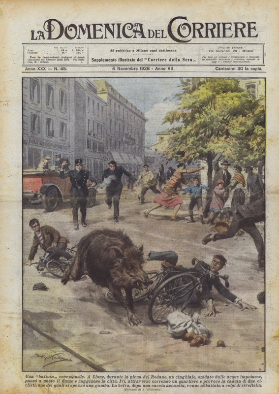 An exceptional hunt by Achille Beltrame