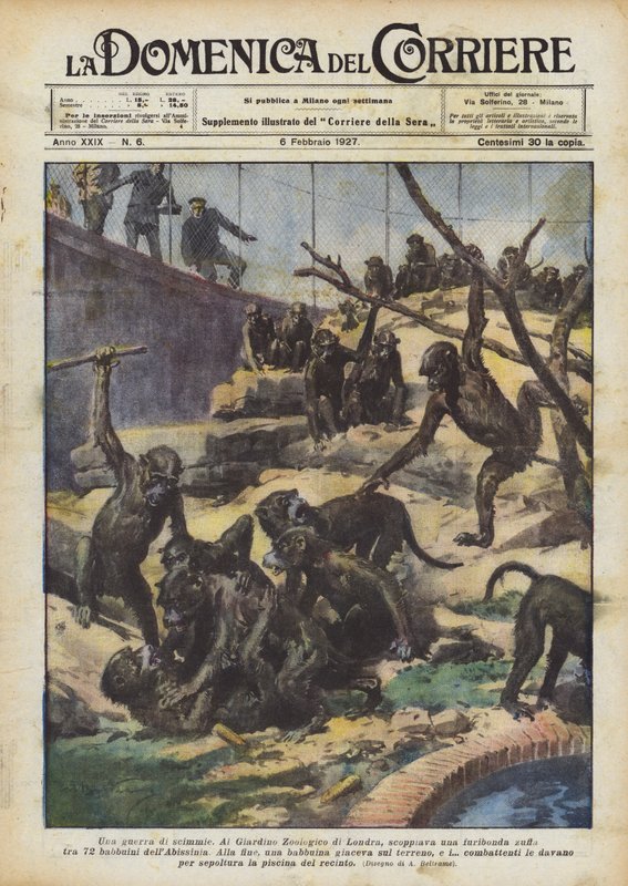 A Monkey War by Achille Beltrame