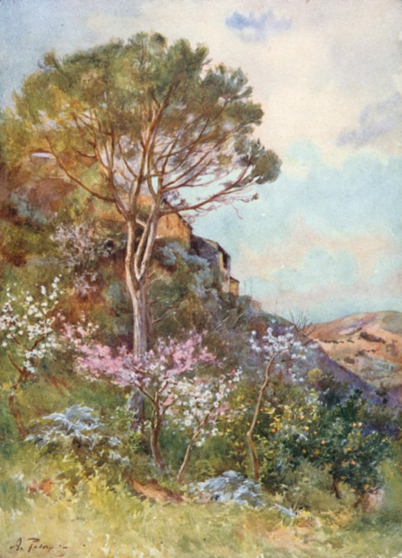 Near Calatafimi by Alberto Pisa