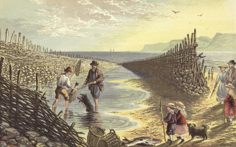 Fishing Weir by Alexander Francis Lydon
