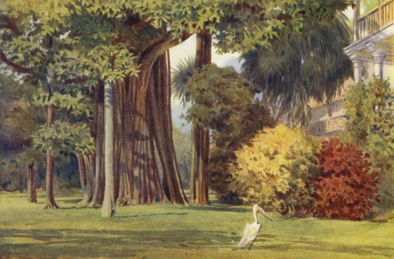 The Queens House, Colombo by Alexander Henry Hallam Murray