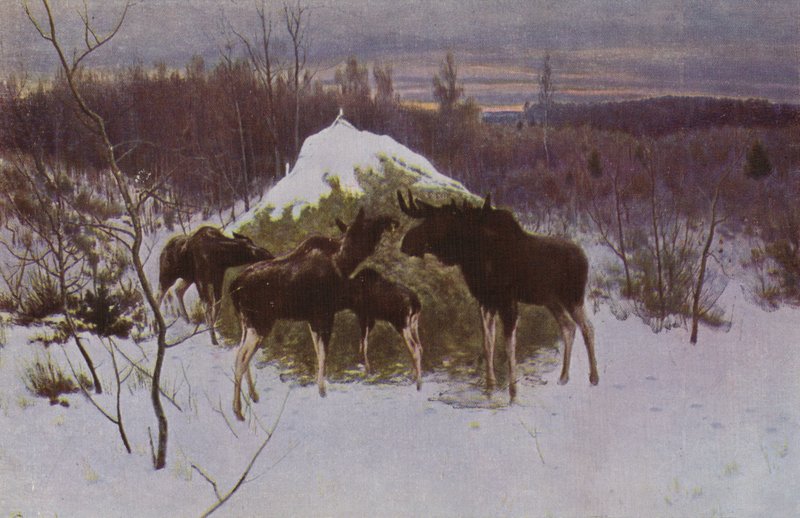 Herd of Elk, 1889 by Alexei Steipanovitch Stepanov