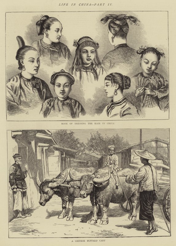 Life in China, Part IV by Alfred Chantrey Corbould