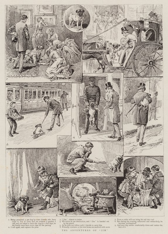 The Adventures of Jim by Alfred Chantrey Corbould