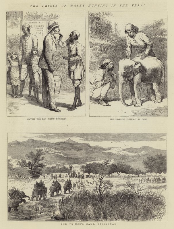 The Prince of Wales hunting in the Terai by Alfred Chantrey Corbould