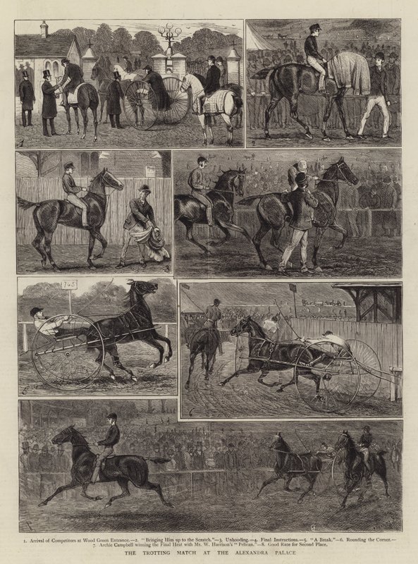 The Trotting Match at the Alexandra Palace by Alfred Chantrey Corbould