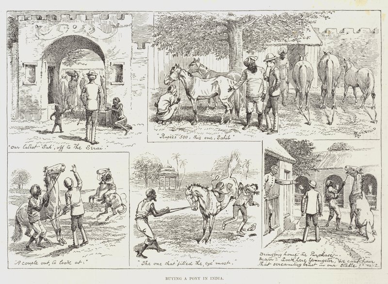 Buying a Pony in India by Alfred Courbould