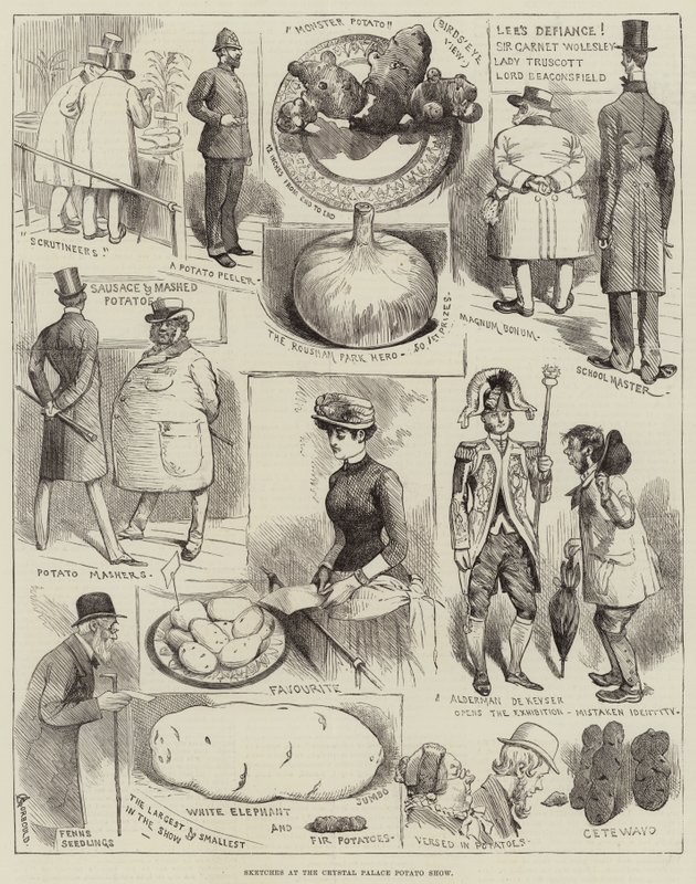 Sketches at the Crystal Palace Potato Show by Alfred Courbould
