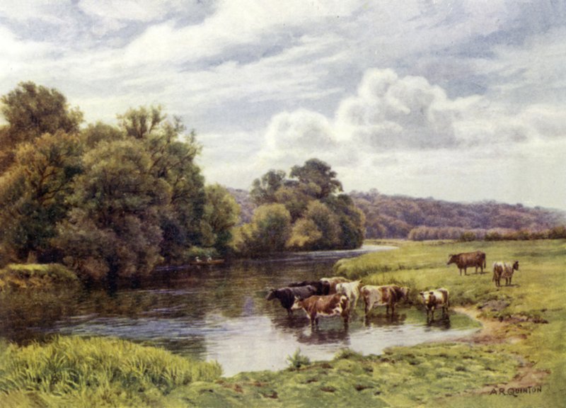Nuneham Park by Alfred Robert Quinton