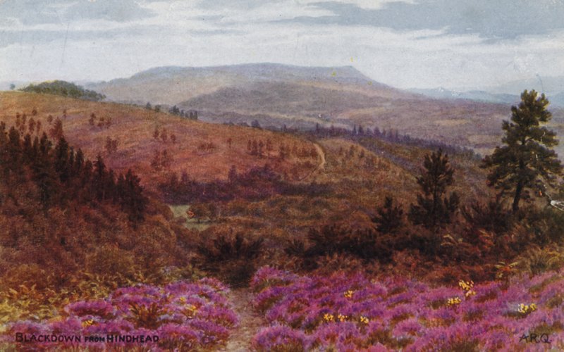 Blackdown from Hindhead by Alfred Robert Quinton