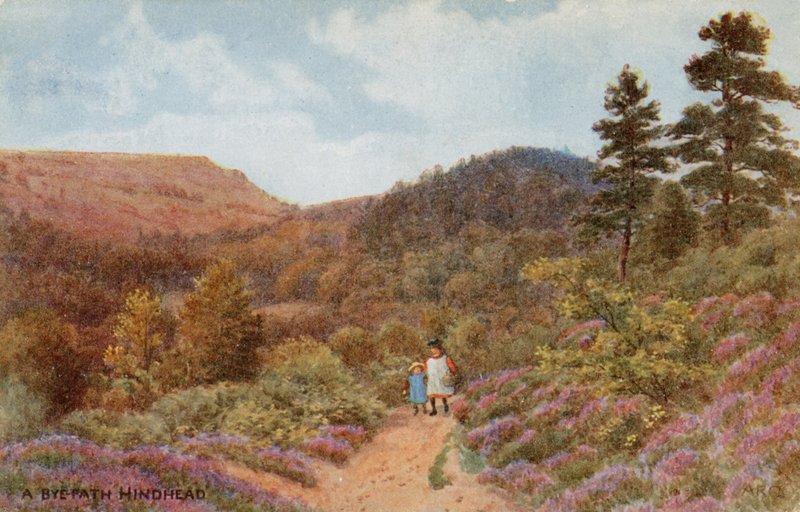 Hindhead by Alfred Robert Quinton