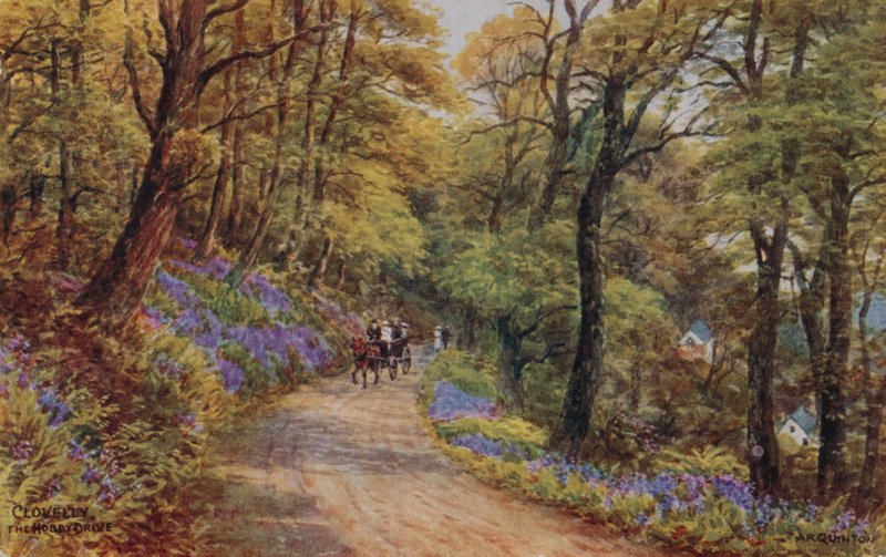 Hobby Drive, Clovelly by Alfred Robert Quinton