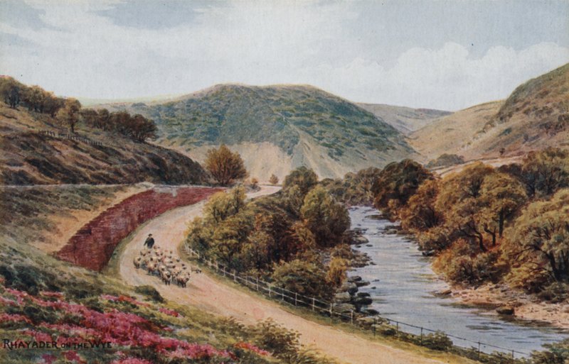 Rhayader on the Wye by Alfred Robert Quinton