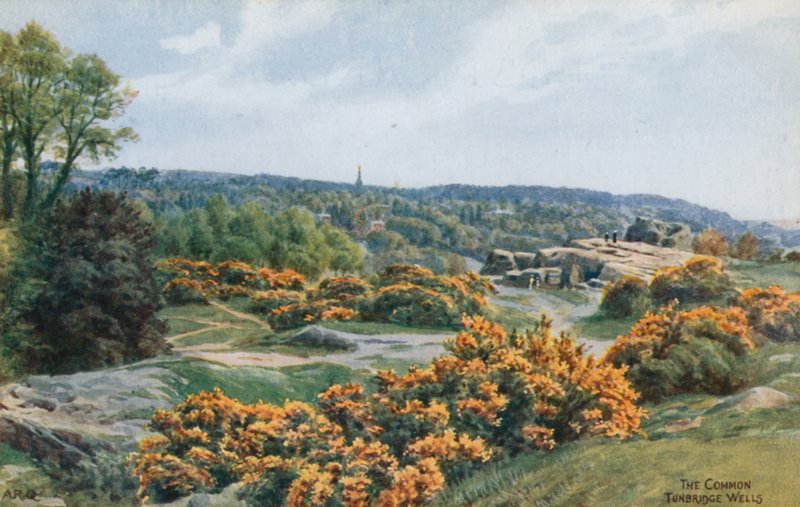 The Common, Tunbridge Wells by Alfred Robert Quinton