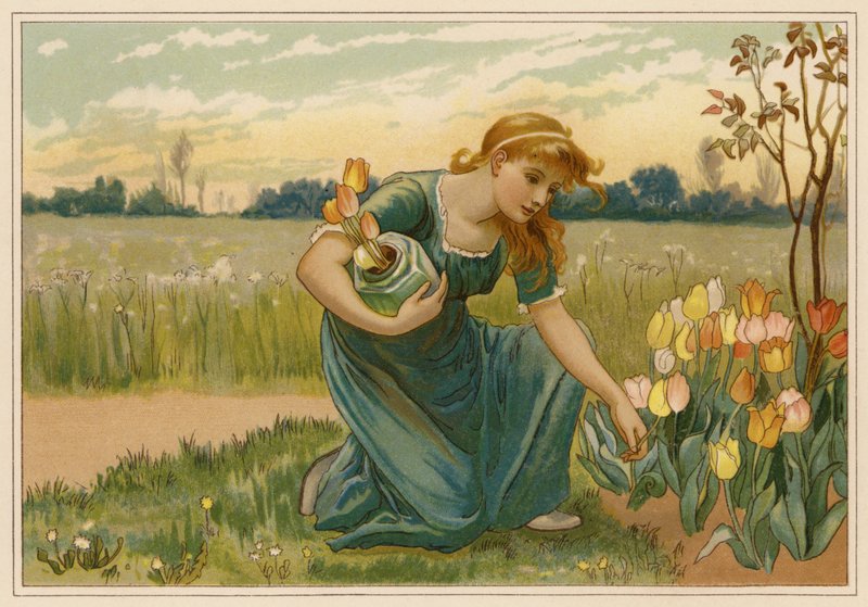 The Daisy by Alice Havers
