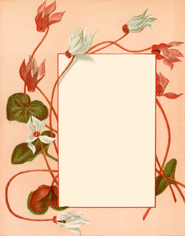 January by Alicia Amy Leith