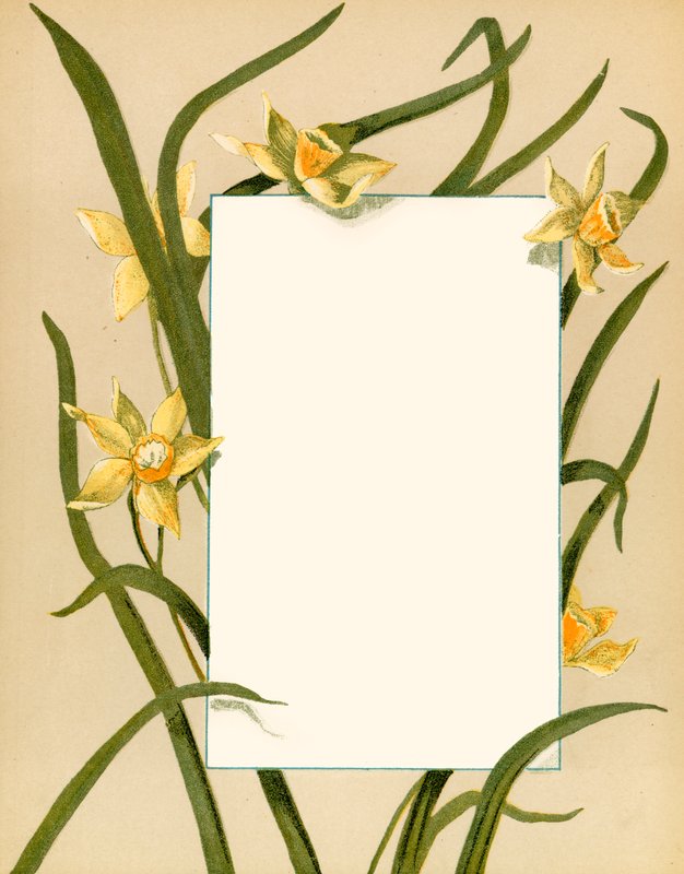 March by Alicia Amy Leith
