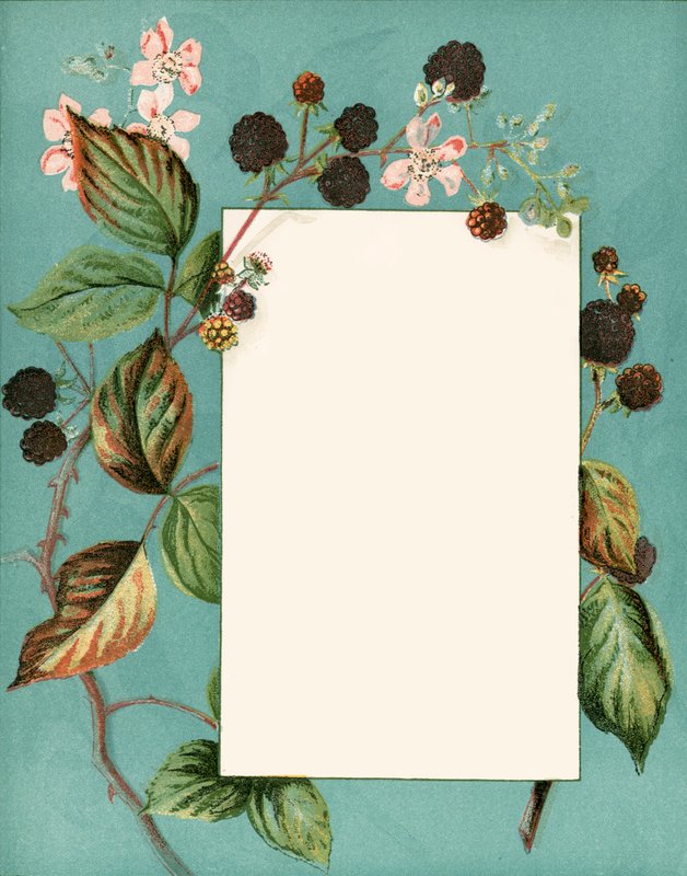 September by Alicia Amy Leith
