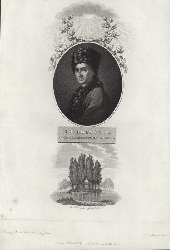 Jean-Jacques Rousseau by Allan Ramsay