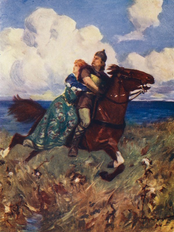 The Battle of the Birds by Allan Stewart
