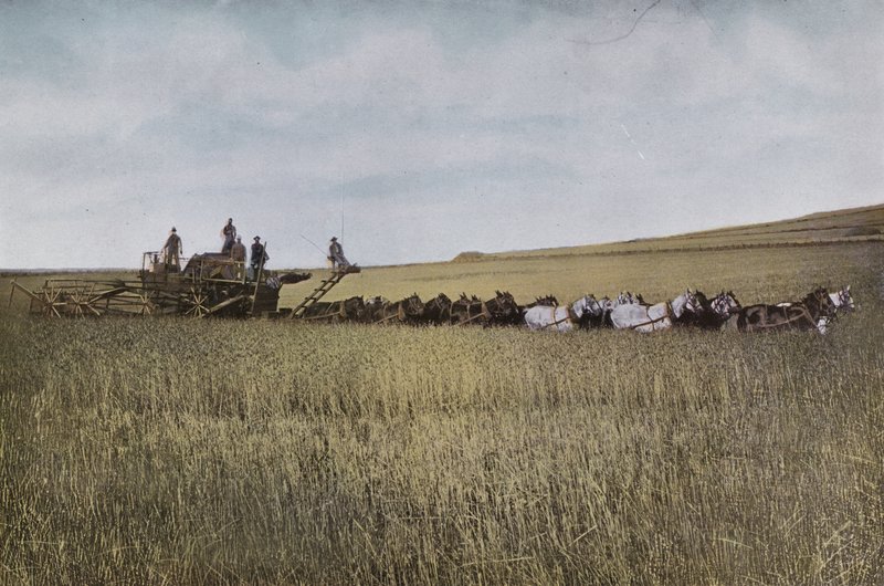 Oregon: Threshing in Eastern Oregon by American Photographer (after)