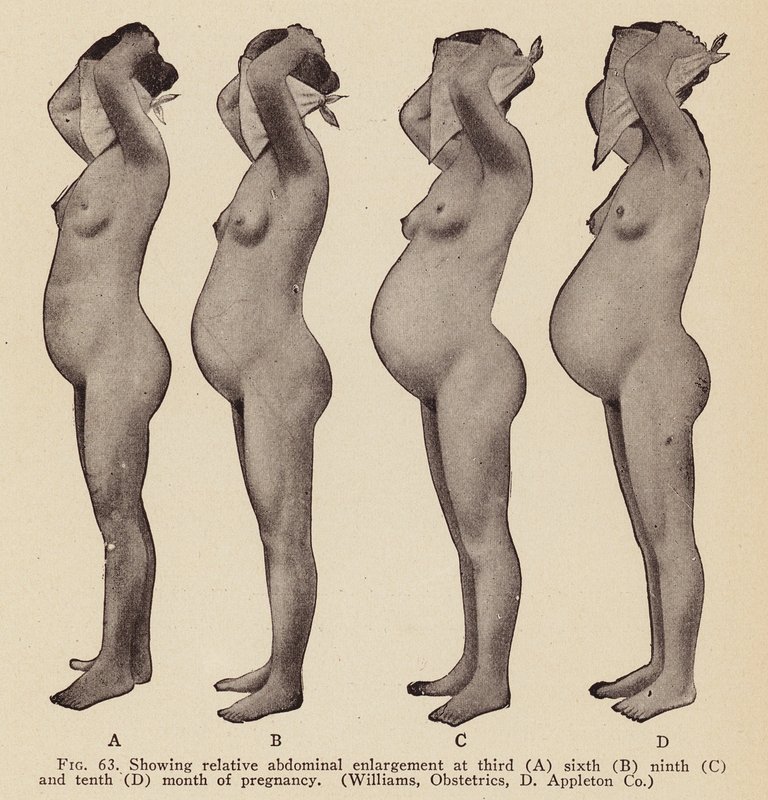 Signs and Symptoms of Pregnancy by American Photographer