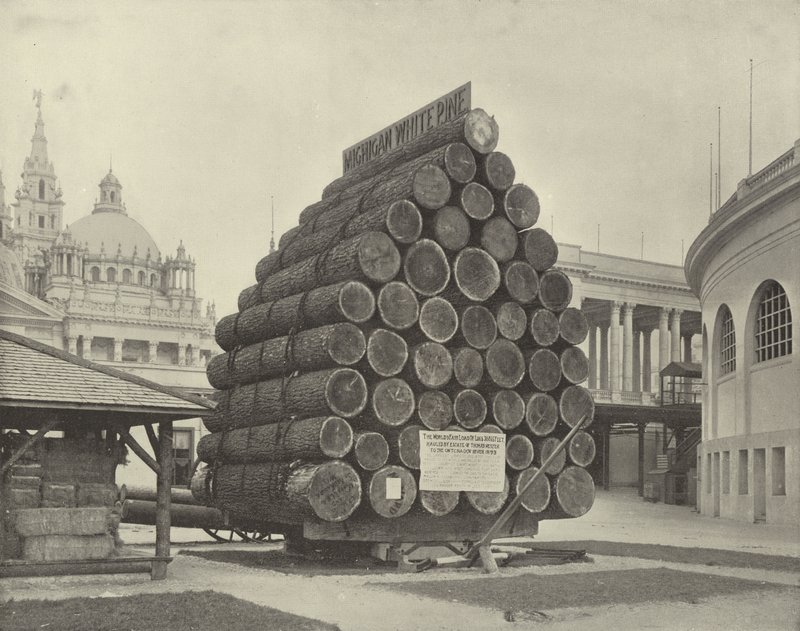 The Fifty Saw-Logs by American Photographer