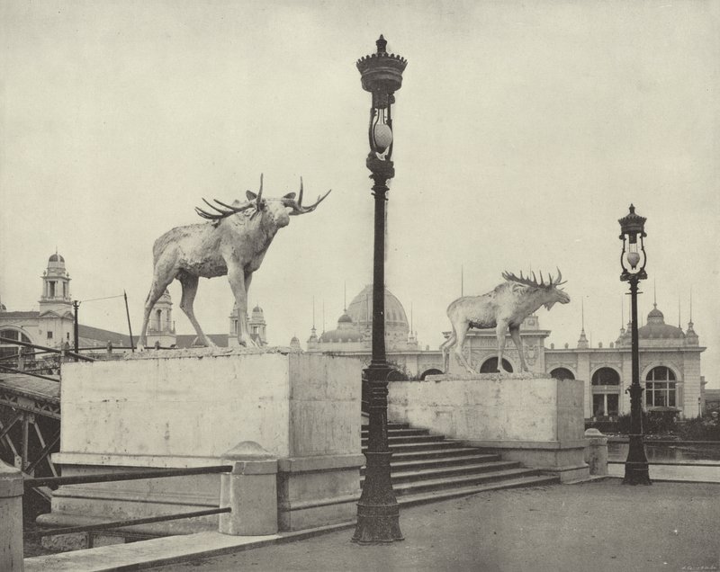The Moose Bridge by American Photographer