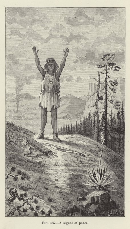 A Signal of Peace by American School