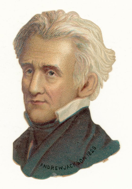 Andrew Jackson by American School