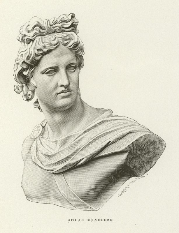 Apollo Belvedere by American School
