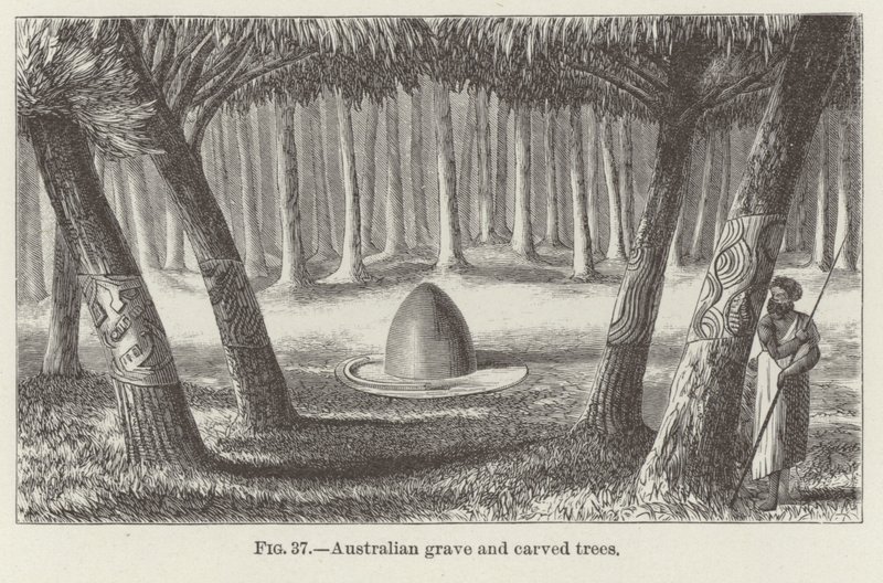 Australian Grave and Carved Trees by American School