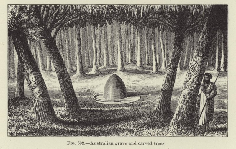 Australian Grave and Carved Trees by American School