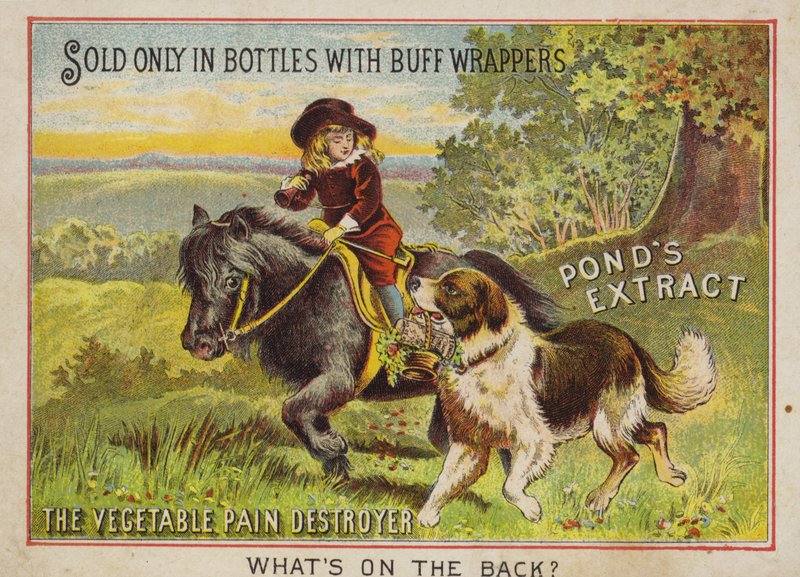Boy Riding a Pony with His Dog by American School