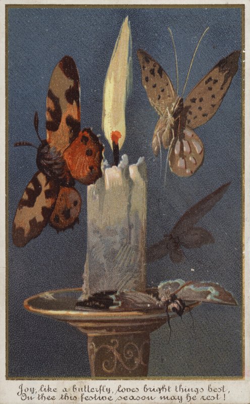 Butterflies Around a Burning Candle by American School