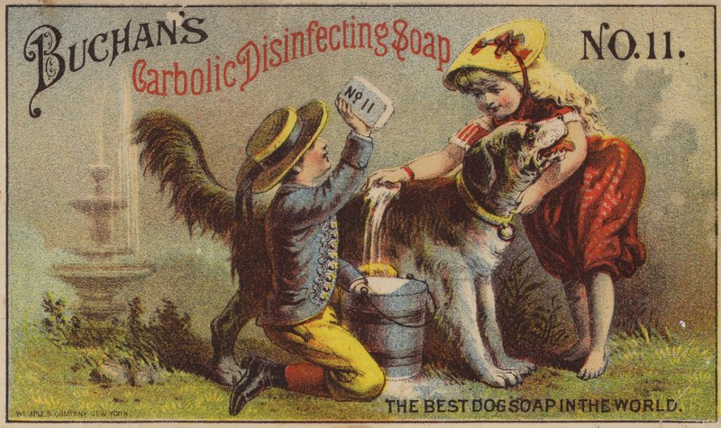 Children Washing Dog by American School